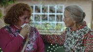 Fannie Flagg's novel, Fried Green Tomatoes (Image Source - Netflix)